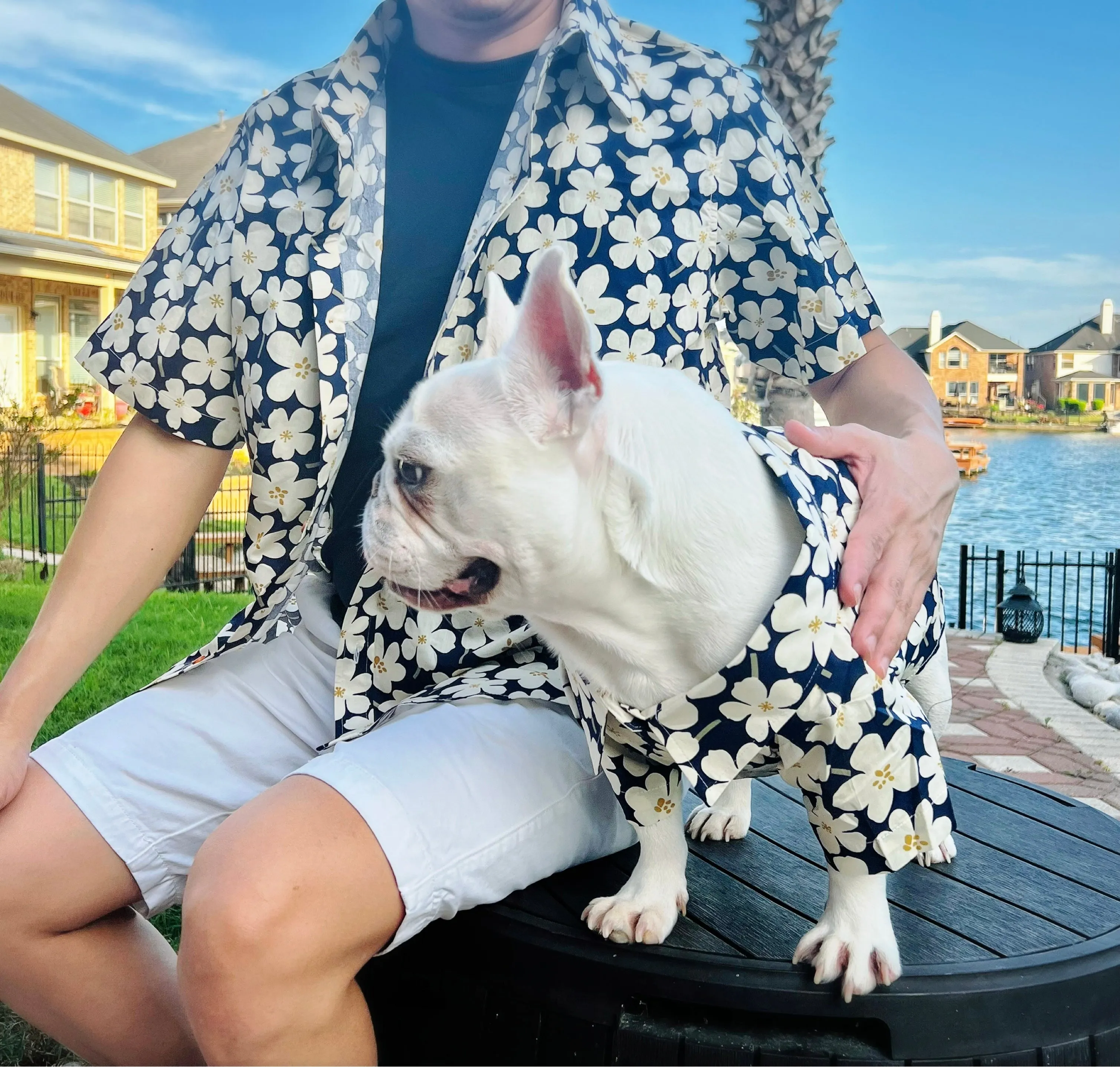 Spring Blooming Owner and Pet Matching Button Shirt / Bandana