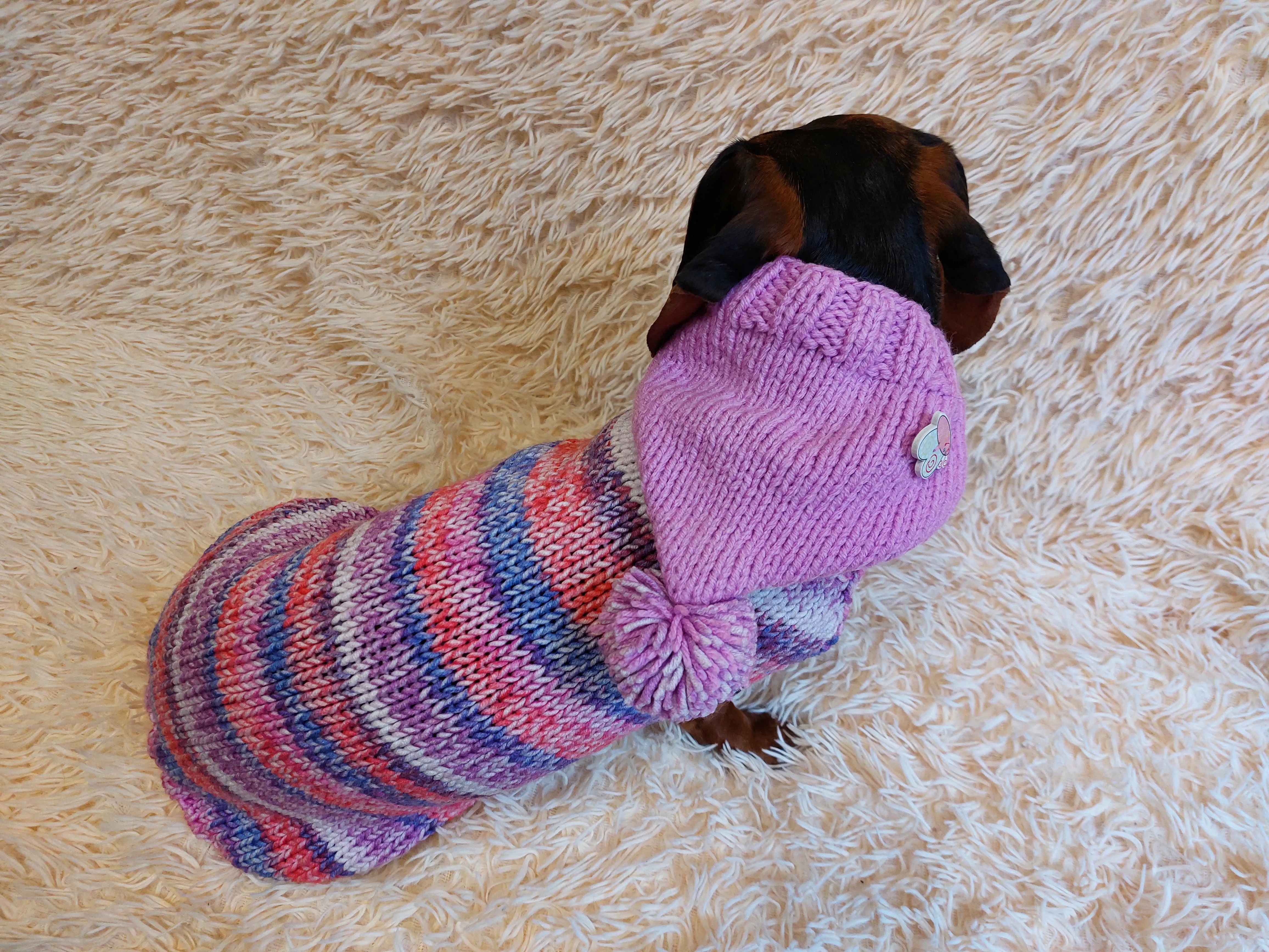 Warm Wool Stylish Clothes Pet Coat, Dog Hoodie, Dachshund Hooded Sweaters, Clothing for dachshund or small dog with sweater with hoodie