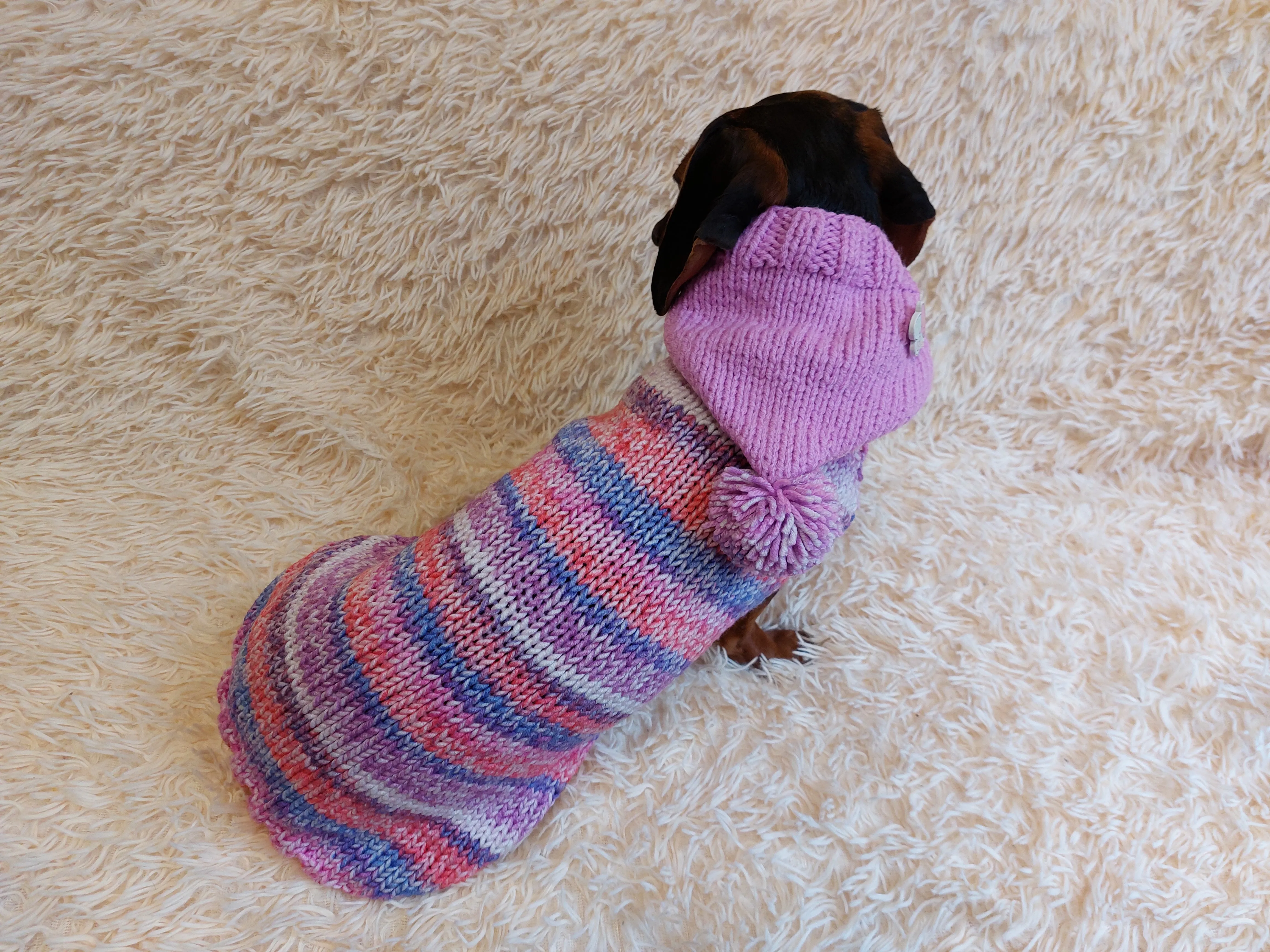 Warm Wool Stylish Clothes Pet Coat, Dog Hoodie, Dachshund Hooded Sweaters, Clothing for dachshund or small dog with sweater with hoodie