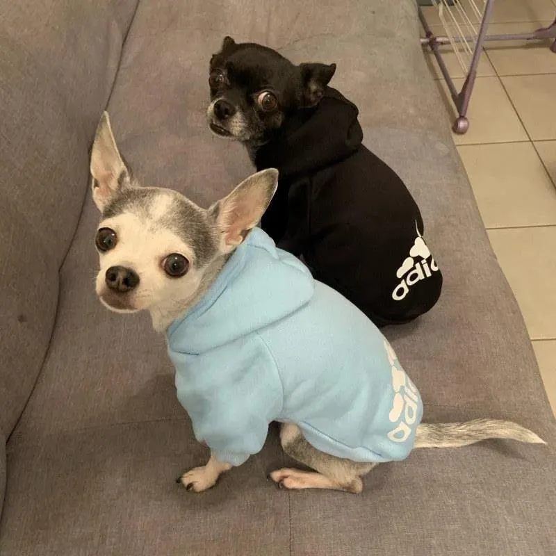 Winter Dog Hoodies: Stylish Fleece Pet Apparel for your Furry Friend