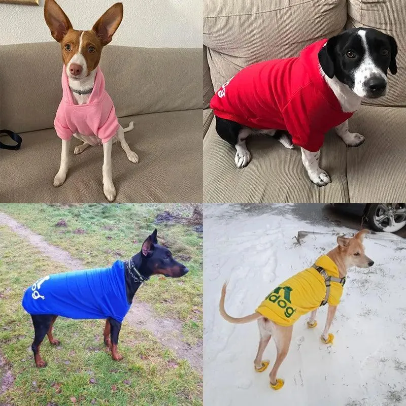 Winter Dog Hoodies: Stylish Fleece Pet Apparel for your Furry Friend